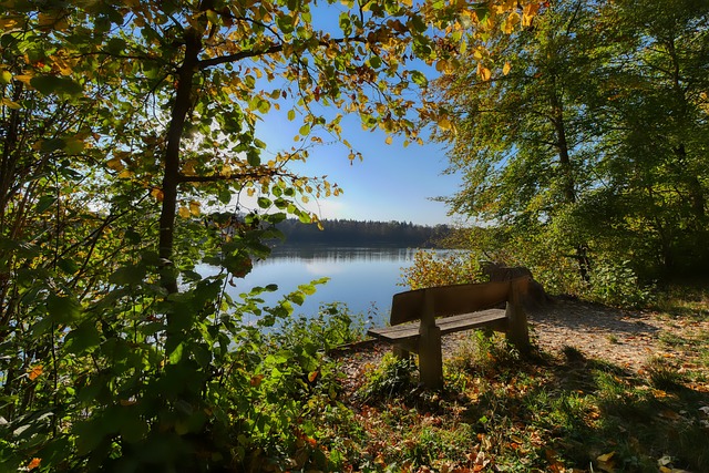 大满贯赛中 大满贯赛中