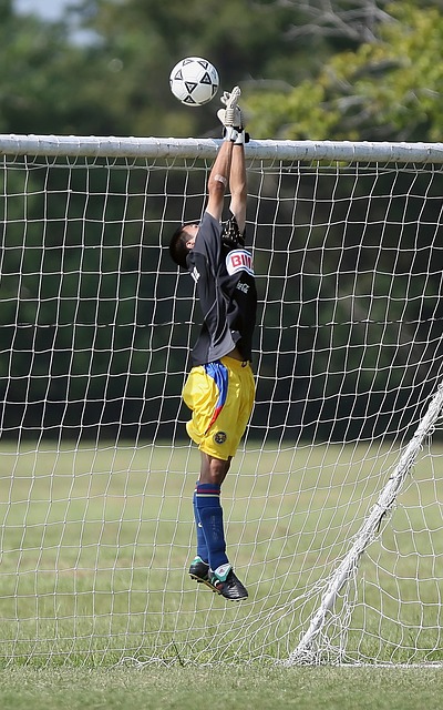 作為東北大 作為東北大