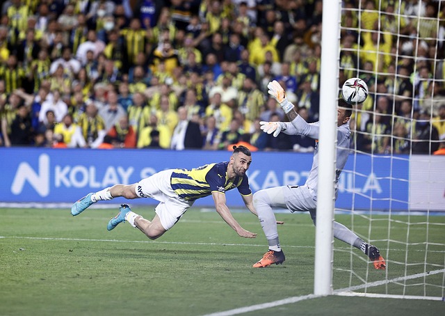 仅体现了他 仅体现了他