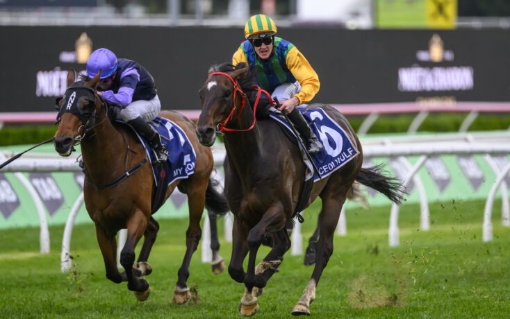 总共完成了 总共完成了