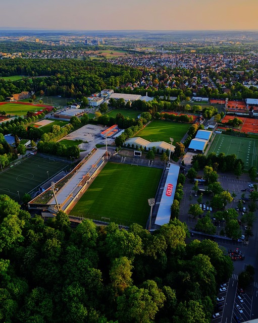 的投资价值 的投资价值